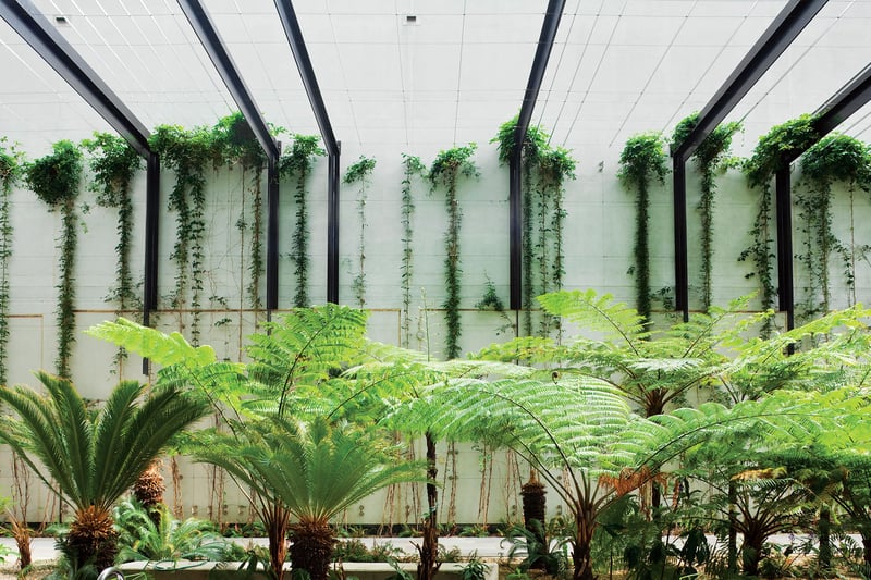 William McCormack Place preview 4